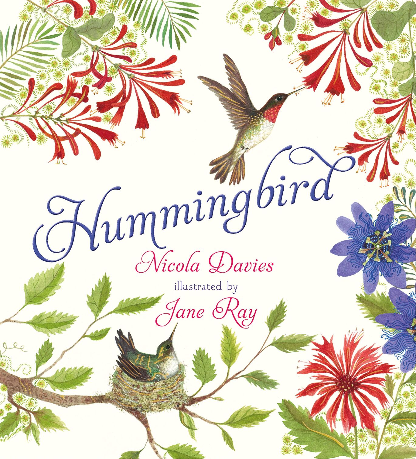 hummingbird.jpg